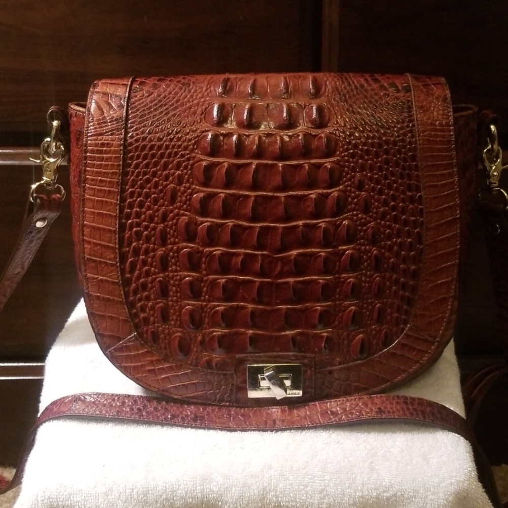 Brahmin Sonny